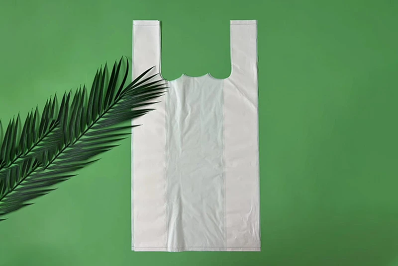 PE Shopping Bags &mdash; Branded Retail Carry Bags in LDPE/HDPE