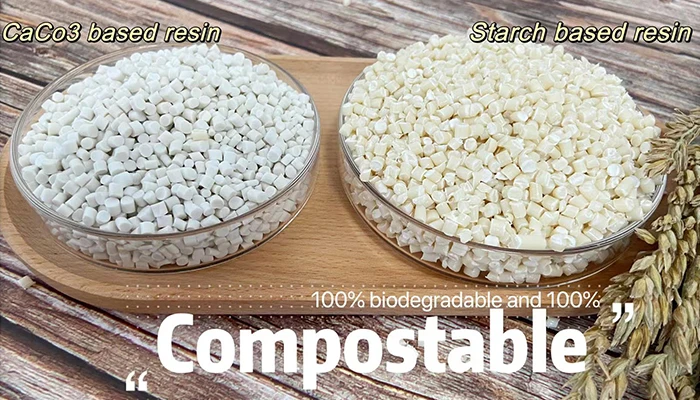 Compostable vs Biodegradable: What's the Real Difference for B2B Buyers?