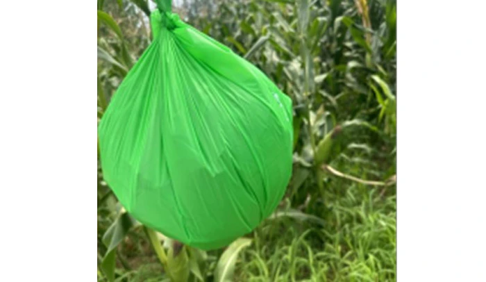 Agriculture & Produce Packing Solutions